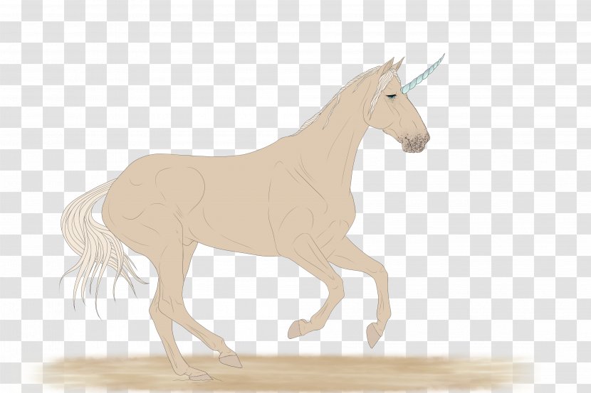 Mane Mustang Stallion Mare Rein - Yonni Meyer Transparent PNG
