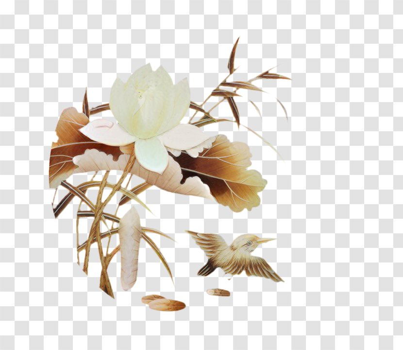 Cut Flowers Flowering Plant Plants Branching - Flower - Petal Transparent PNG