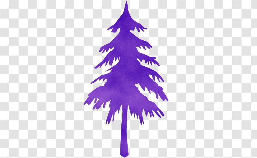 Christmas Tree - Leaf - Decoration Colorado Spruce Transparent PNG