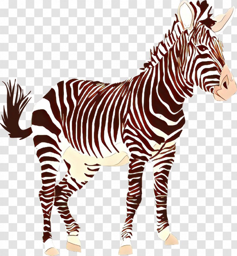 Zebra Cartoon - Wildlife - Mane Snout Transparent PNG