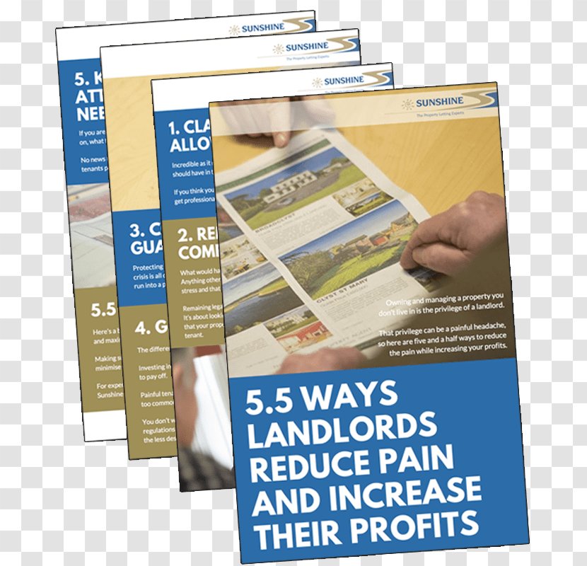 Expert Renting Landlord Experience Skill Transparent PNG