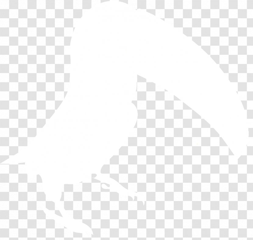 Line Angle Font - Rectangle - Toucan Transparent PNG