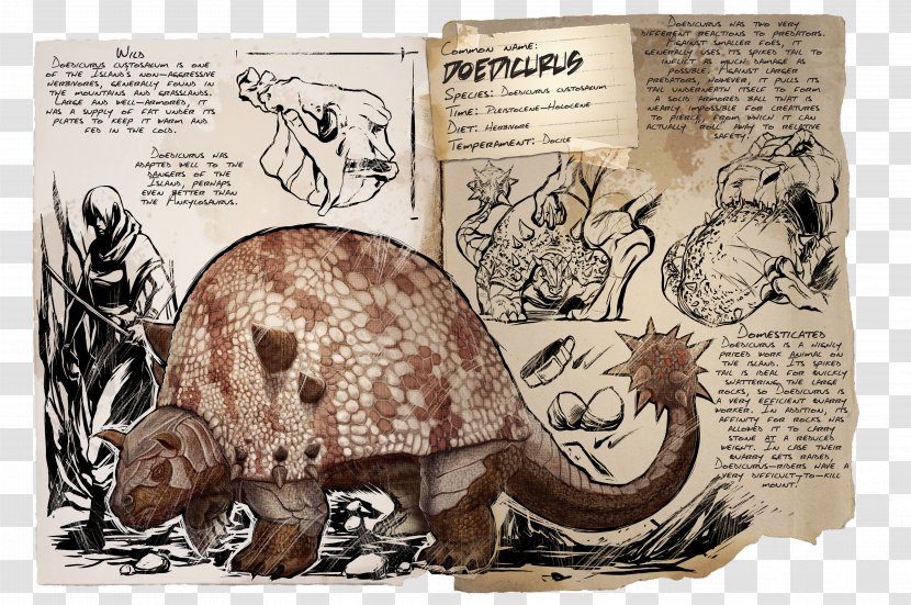 ARK: Survival Evolved Doedicurus Clavicaudatus Dinosaur Giant Armadillo Herbivore - Ark Shell Transparent PNG