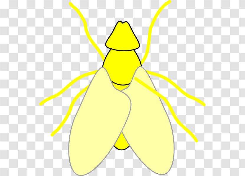 Fly Insect Royalty-free Clip Art - Moth Transparent PNG
