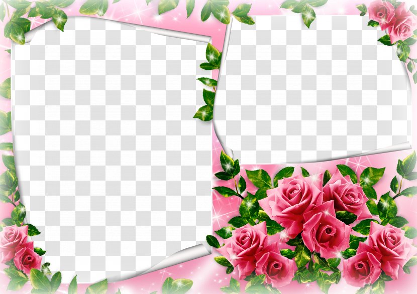 Template Pattern - Floristry - Mood Frame Transparent PNG