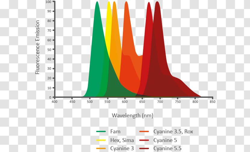 Fluorophore Fluorescence Oligonucleotide Hybridization Probe Emission Spectrum - Text - Fluorescent Dye Hex Transparent PNG