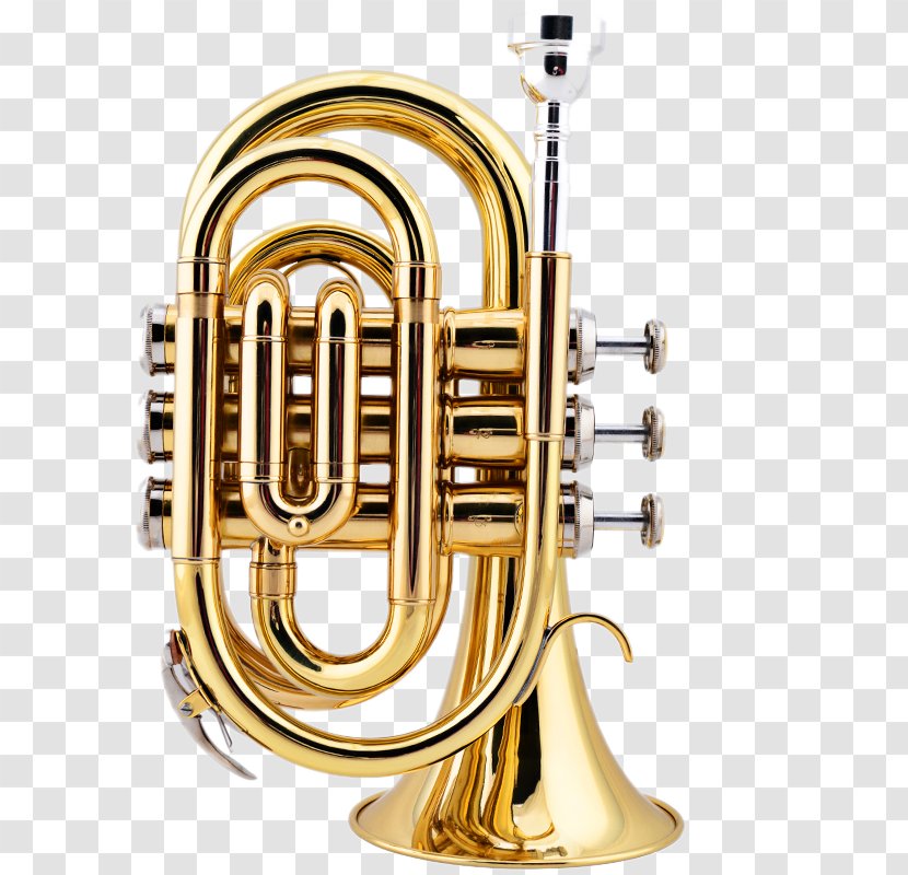 Cornet Trumpet Brass Instrument Musical Wind - Tree - No. B Flat Palm Transparent PNG