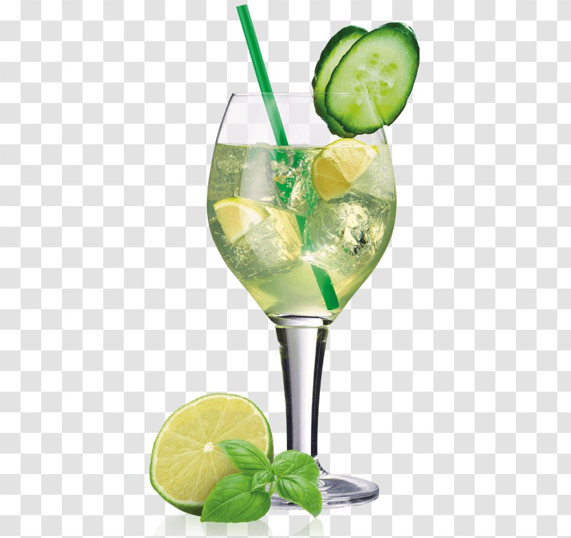 Cocktail Garnish Mojito Lime Gin And Tonic - Drink - Green Transparent PNG