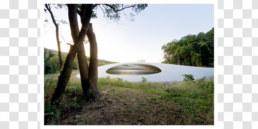 Teshima Art Museum ArtScience Architecture - Tree Transparent PNG