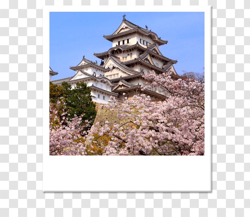 Himeji Castle Edo Osaka Japanese - Stock Photography Transparent PNG