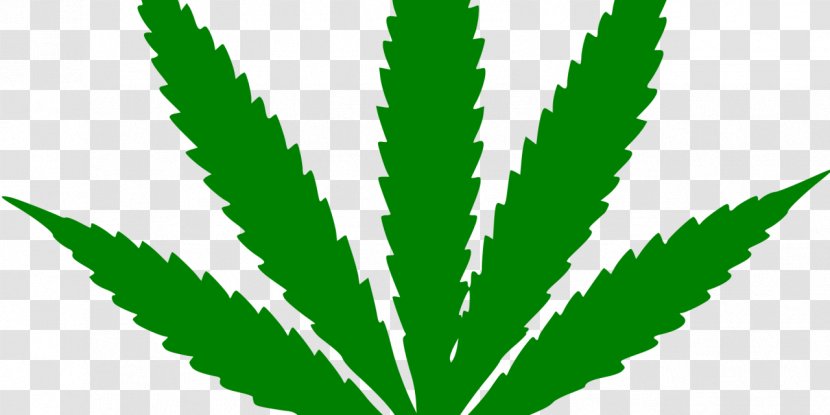 Adult Use Of Marijuana Act Medical Cannabis - Plant Transparent PNG