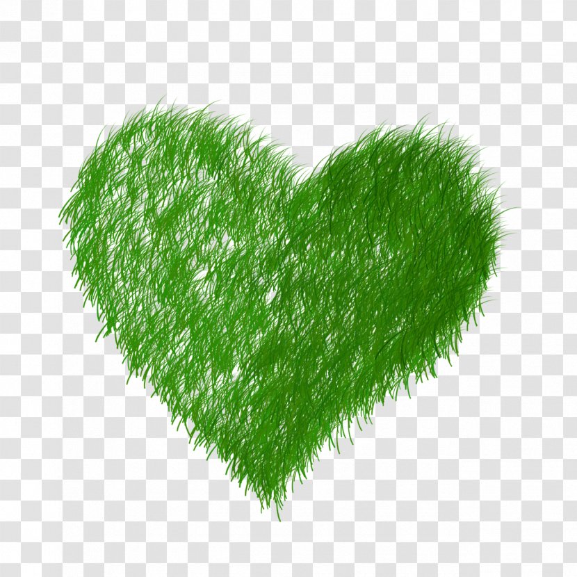Ecology Download - Grass Family - Heart Transparent PNG