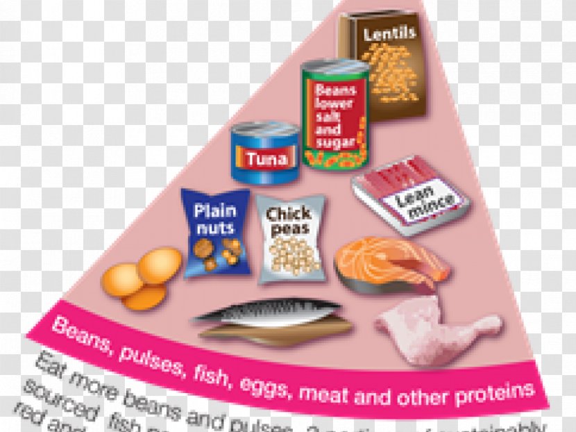 Food Group Eatwell Plate Junk Veggie Burger Eating - Ethics Of Meat Transparent PNG