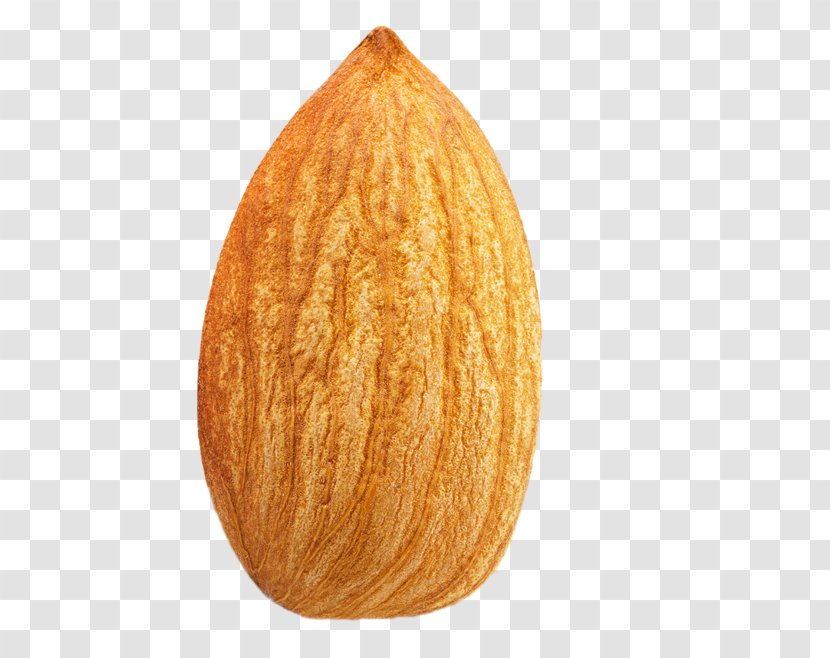 Almond Nut Fruit - Commodity - Nuts Transparent PNG
