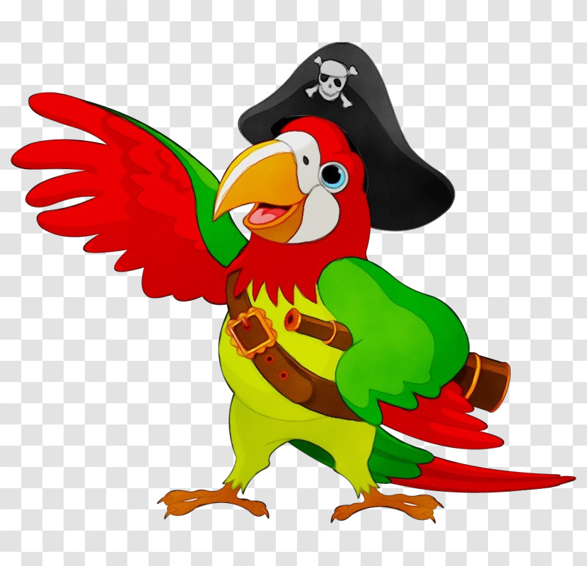 Parrots Birds Piracy Royalty-free Talking Bird Transparent PNG