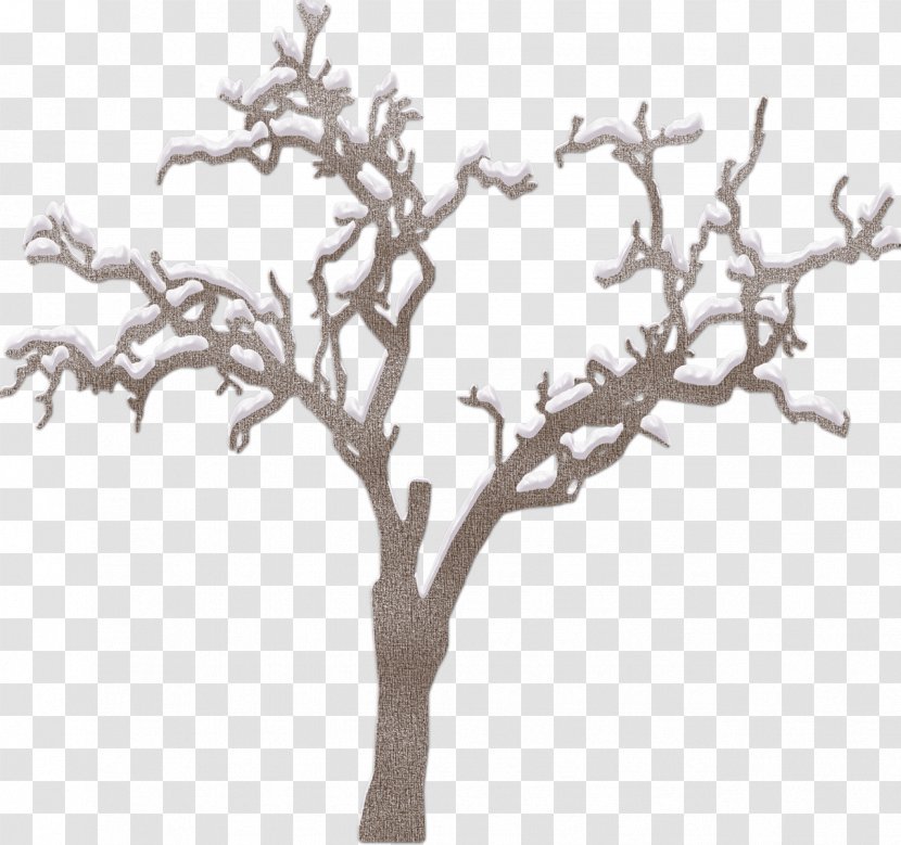 Twig Tree Clip Art - Plant Transparent PNG