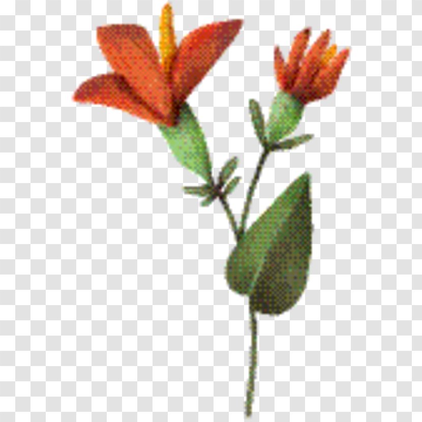 Flower Stem - Plant - Gesneriad Family Pedicel Transparent PNG