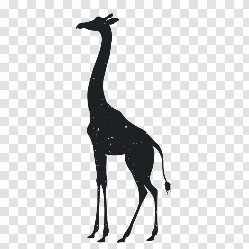Giraffe Tiger Silhouette Animal Drawing - Mammal - Silhouettes Transparent PNG