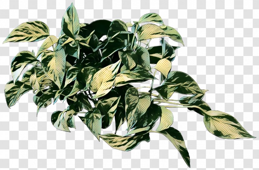 Herbalism Leaf Tree - Flowering Plant - Botany Transparent PNG