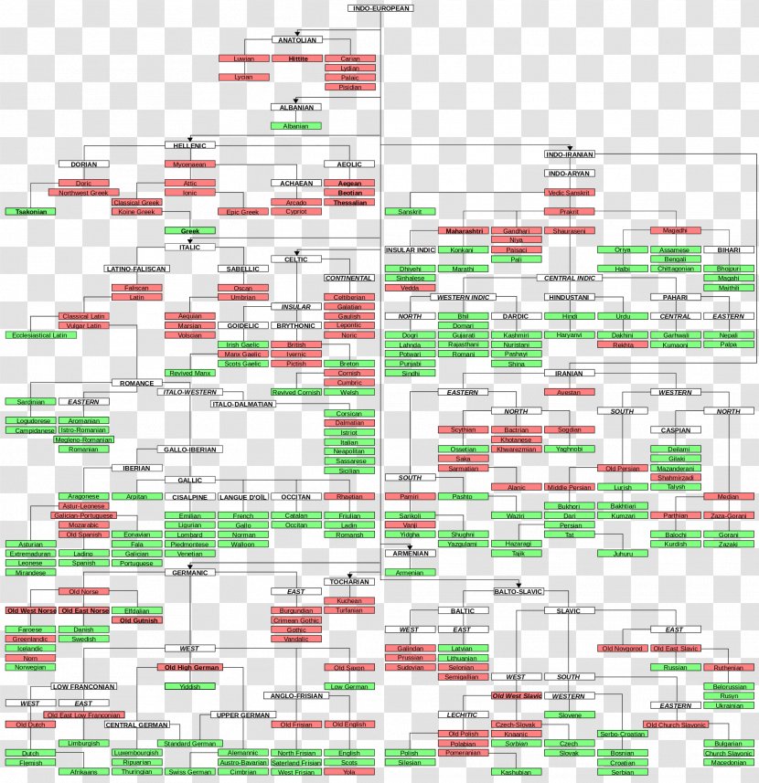 Indo-European Languages Proto-Indo-European Language Family - Europe - English Word Transparent PNG