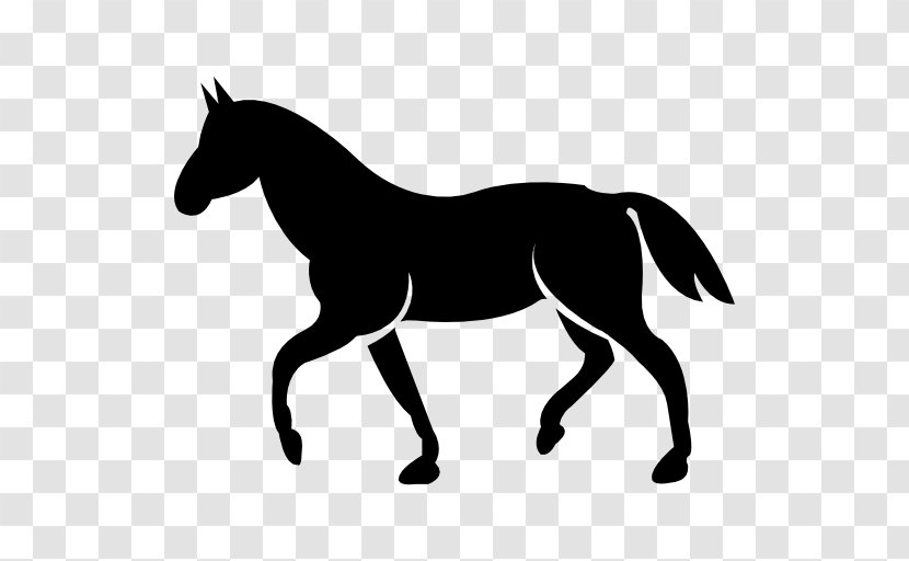 Standardbred The Black Cat Stitchery Tennessee Walking Horse Equestrian - Grass - Like Mammal Transparent PNG