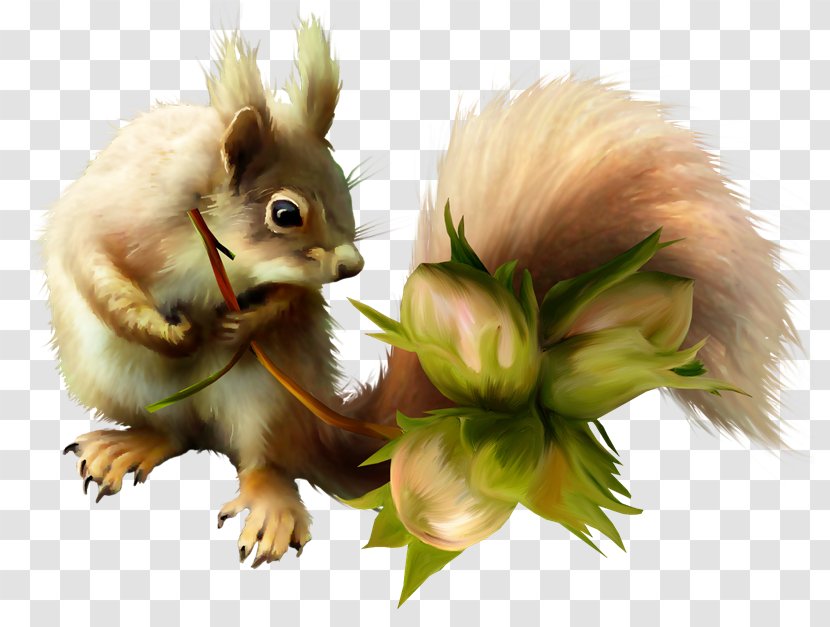 Chipmunk Tree Squirrel Red Clip Art - Snout - Squirrels Transparent PNG