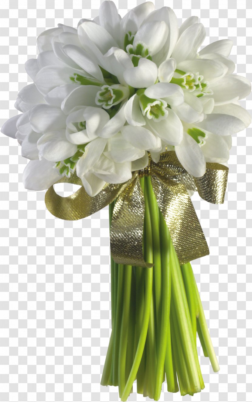 Snowdrop Flower Bouquet Tulip Garden Roses - Vase - Happy Spring Transparent PNG