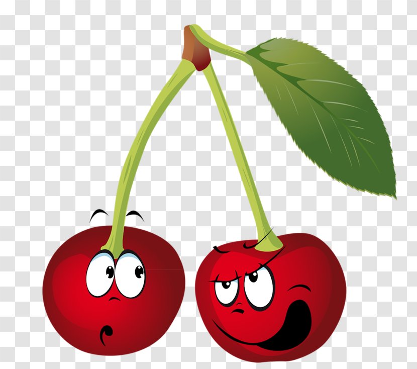 Cherry Cartoon Clip Art - Museum - Fruit Transparent PNG