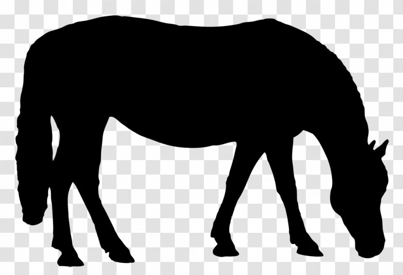 John Wayne Birthday Celebration 5K Run/Walk Mustang Pony Stallion Unghester - Hair - Grazing Transparent PNG