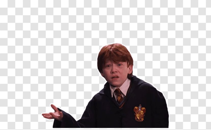 Harry Potter Hermione Granger Ron Weasley Sticker Transparent PNG