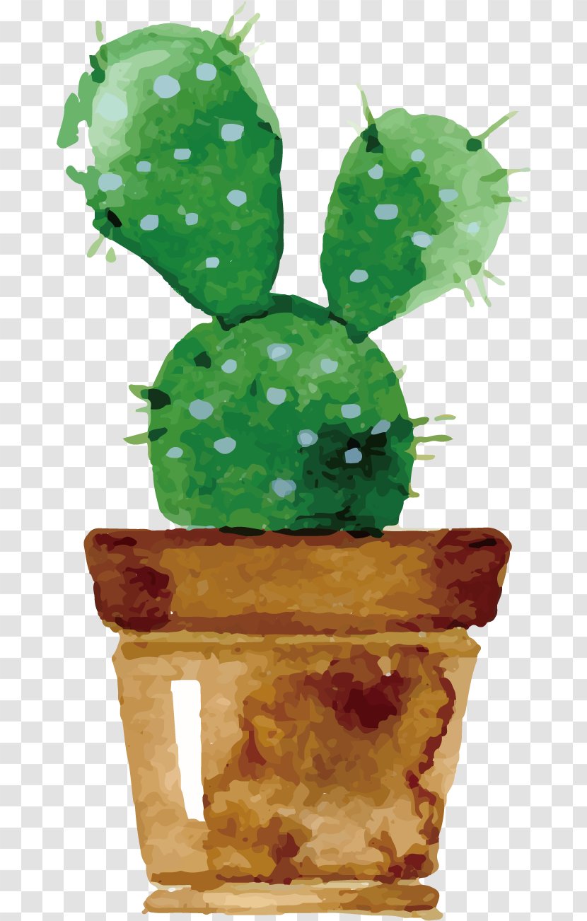 Watercolor Painting Cactus Succulent Plant Drawing - Perennial Transparent PNG