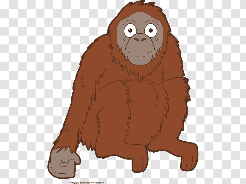 Gorilla Bornean Orangutan Baby Primate Clip Art - Great Ape Transparent PNG