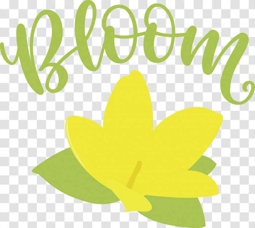 Bloom Spring Flower Transparent PNG