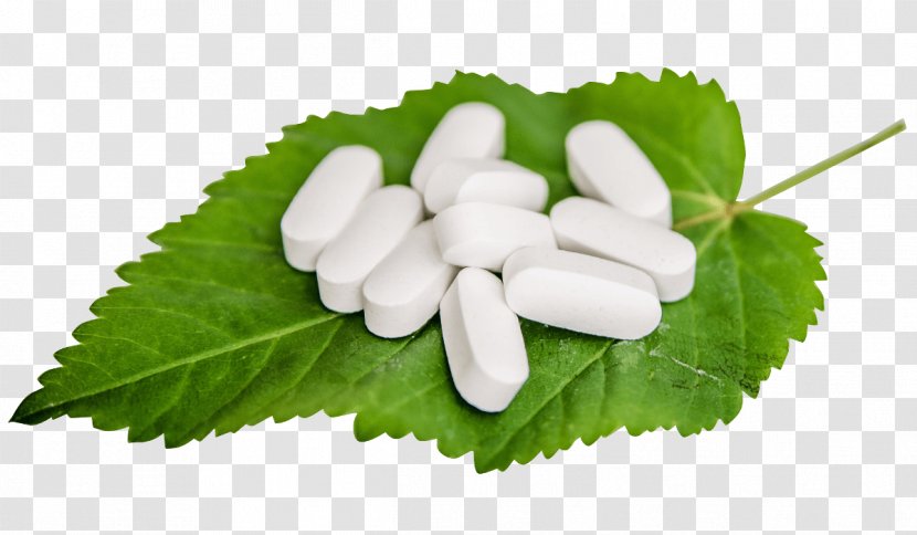Pharmaceutical Drug Tablet Medicine Physician - Nutraceutical Transparent PNG