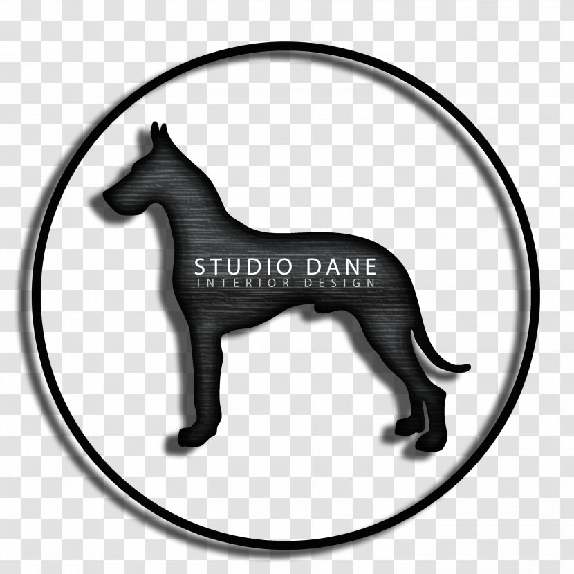 Interior Design Services Horse Dog Home Staging - Dane Dehaan Transparent PNG