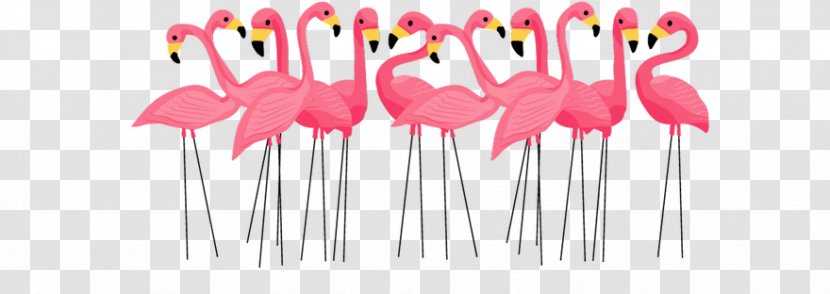 Plastic Flamingo Lawn Ornaments & Garden Sculptures Clip Art - Royaltyfree - Creative Graphics Transparent PNG