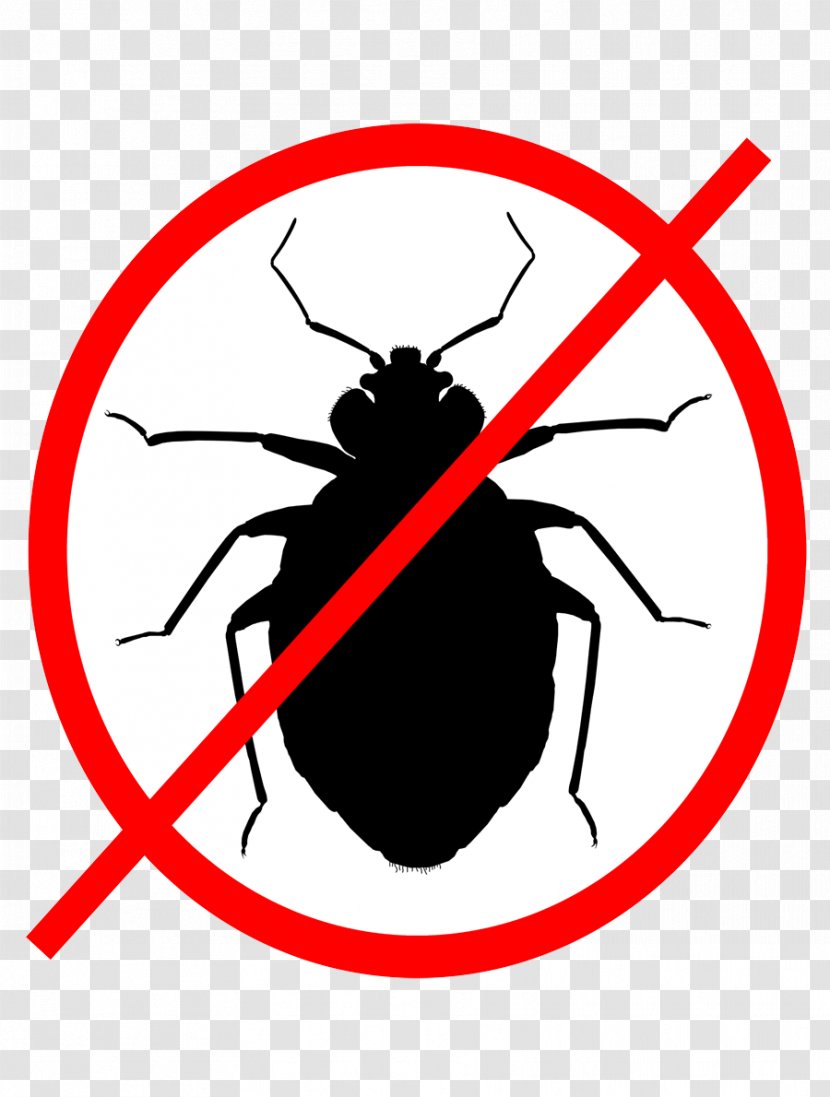 Insect Bed Bug Software Pest Clip Art - Cockroach Transparent PNG