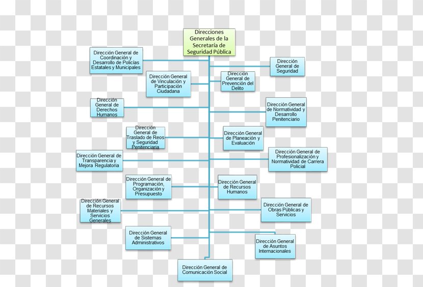 Organizational Chart Secretariat Of Public Security Secretary State - Number - Semar Transparent PNG