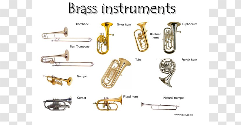 Brass Instruments Musical Family Trumpet Bugle - Flower Transparent PNG