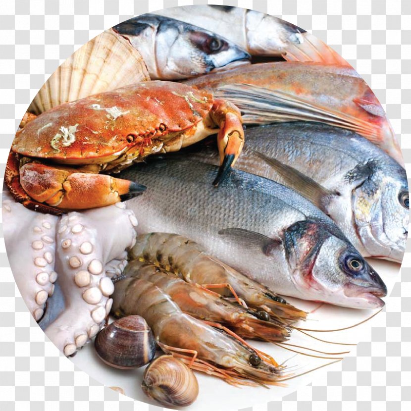 Seafood Fishcakes Paella - Animal Source Foods - Fish Transparent PNG