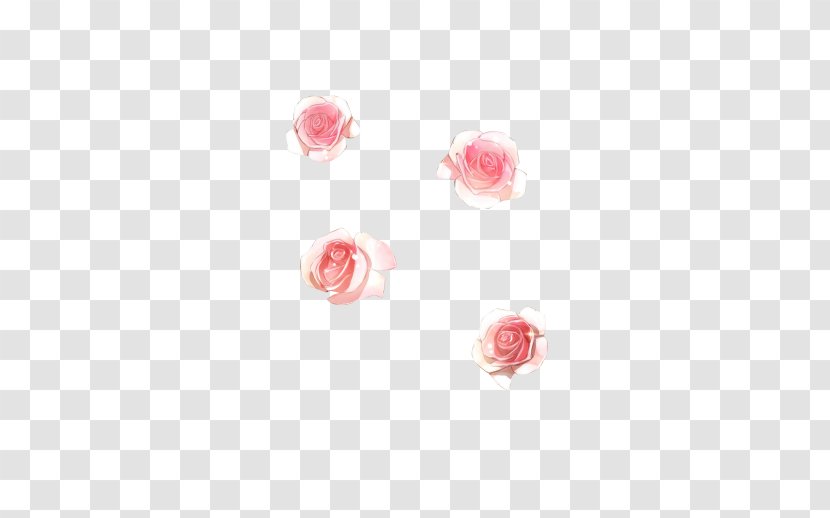 Garden Roses Odnoklassniki Centifolia Petal - Avatar - Rose Family Transparent PNG