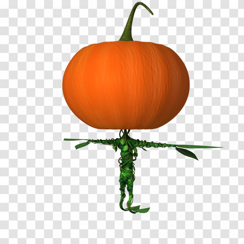Pumpkin Winter Squash Calabaza Gourd Cucurbita - Halloween Transparent PNG