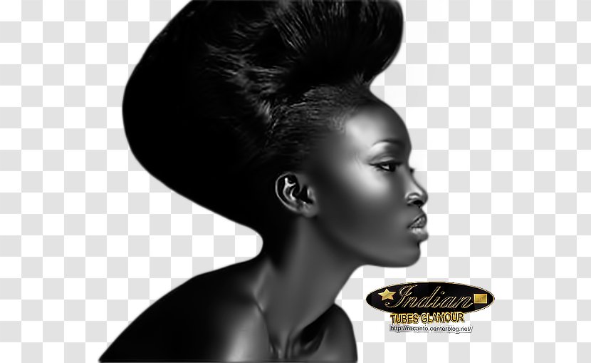 Long Hair Model Fashion Hairstyle Afro-textured Transparent PNG