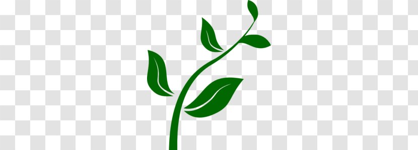 Plant Clip Art - Green - Flower Growing Cliparts Transparent PNG