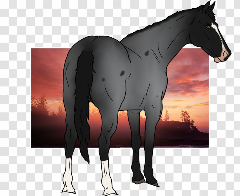 Mustang Stallion Foal Colt Mare - Pack Animal - Roman Clock Transparent PNG