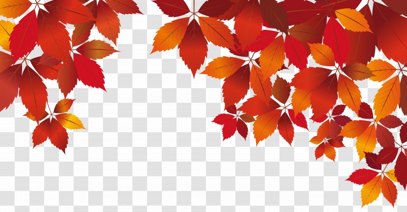 Red Autumn White - Leaf Color - Fall Decoration Clip Art Transparent PNG