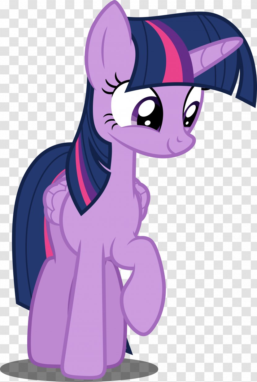Twilight Sparkle Pinkie Pie Applejack Pony Rainbow Dash Transparent PNG
