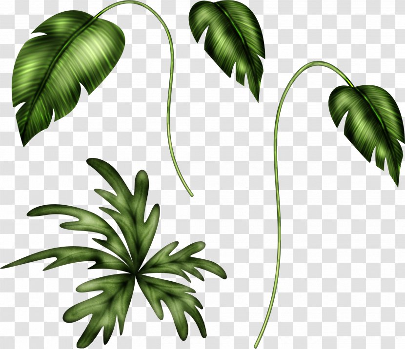 Branch Leaf Plant Stem Clip Art - Flowering Transparent PNG