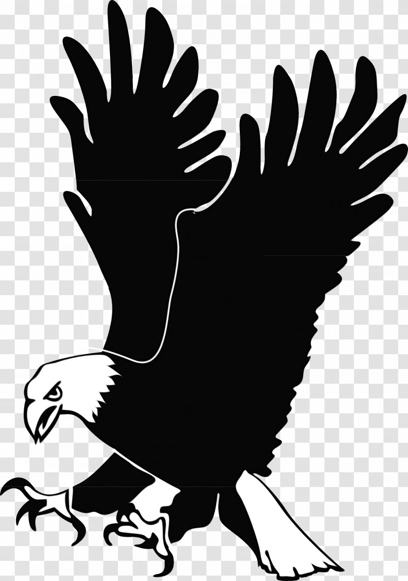 Bird Silhouette - Rooster - Blackandwhite Transparent PNG