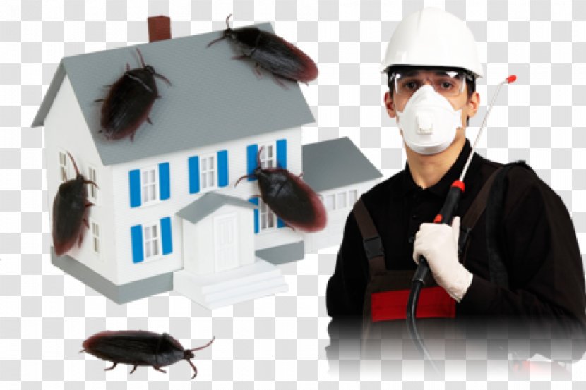 Insecticide Cockroach Pest Control Pesticide - Technology - Insect Transparent PNG